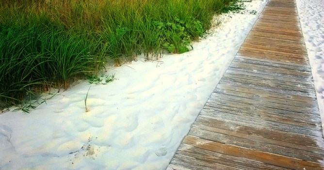 At the Beach