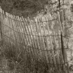 Beach Fence